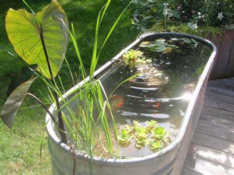 15 Awesome Small Backyard Aquarium DIY Ideas