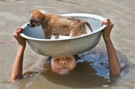 17 Greatest People Risk Their Lives To Save Animals Lives - The Wondrous