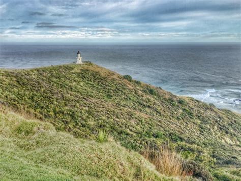 Artistic Adventurer - Teri Lou: Moment Lenses Comparison at Cape Reinga