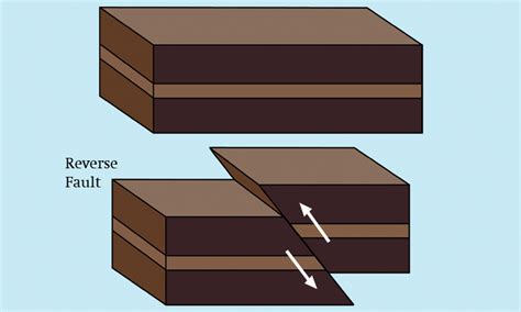 Faults | Shetland Amenity Trust