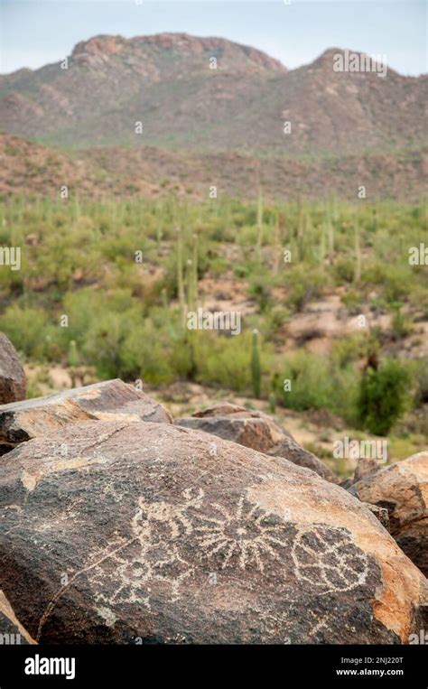 Saguaro National Park in Arizona, USA Stock Photo - Alamy