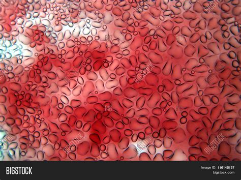 Microscopic View Red Image & Photo (Free Trial) | Bigstock