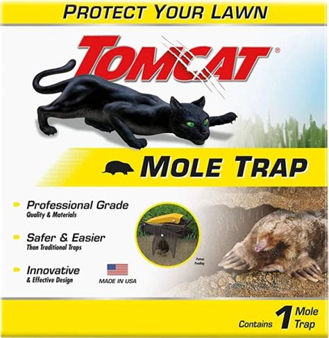 Tips for Setting Up a Mole Trap Correctly | Moles Control