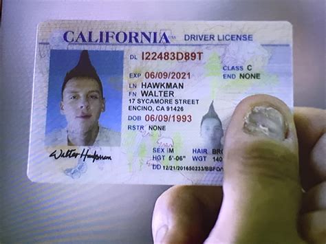 Probably the best fake id ever, Team Hawk! : r/cobrakai