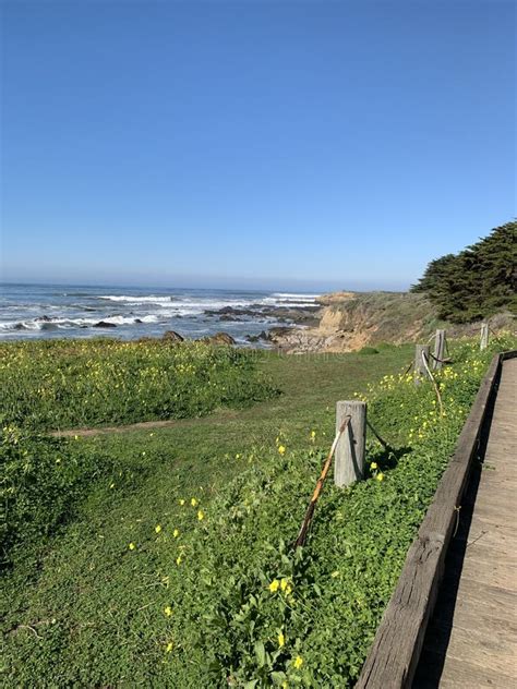 Coastal Boardwalk Along Moonstone Beach Stock Photo - Image of sunny ...