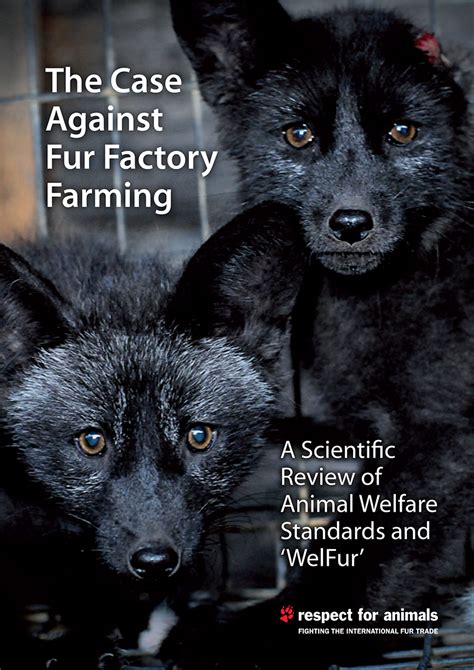 Scientists call for fur bans in EU member states - Fur Free Alliance