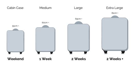 Guide To Suitcase Luggage Sizes You Could Travel | atelier-yuwa.ciao.jp