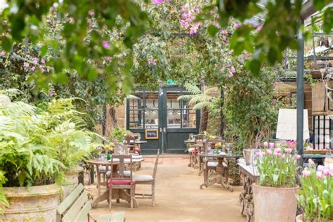 London's 5 most stylish garden centres (with cafés) | Foxtons