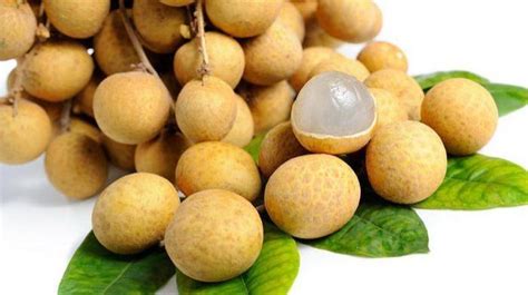 Buah Mata Kucing 1KG – Qniti Bazaar