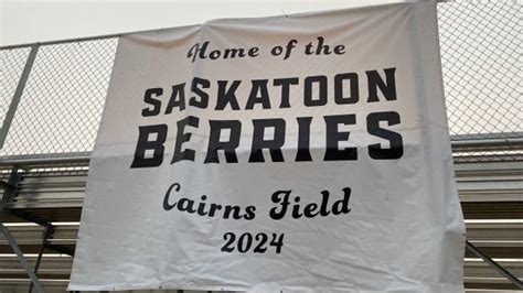 Saskatoon Berries chosen as name for new Western Canadian Baseball League team | CBC News