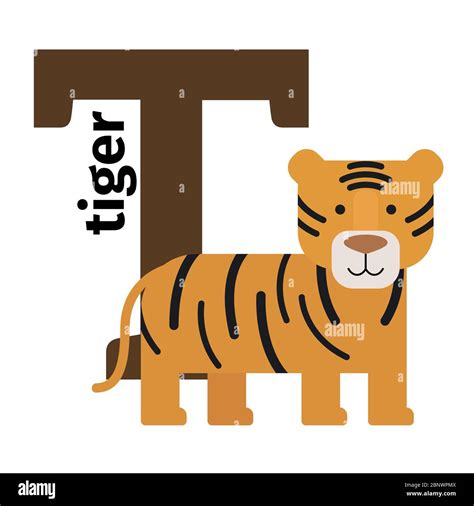 English animals zoo alphabet with letter T. Tiger vector illustration Stock Vector Image & Art ...