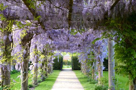 London Parks And Gardens To Visit This Summer - Citizen Femme