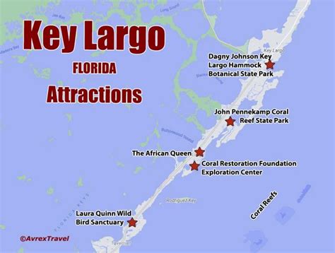 Key Largo in One Day – Vibrant Coral Reefs and Conservation Excellence - Avrex Travel