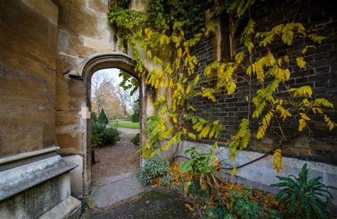 Lambeth Palace Garden | The Archbishop Of Canterbury