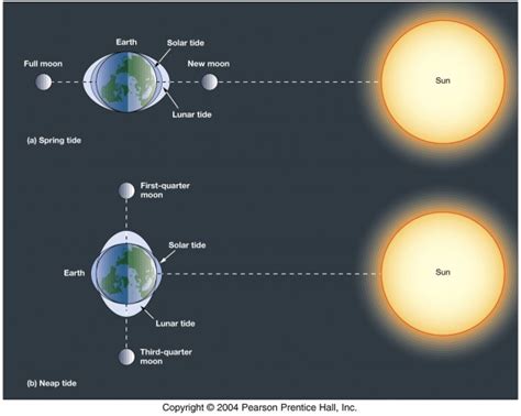 Next Solar Eclipse Indiana Quarter Moon, Earth Perihelion, Neap Tide ...