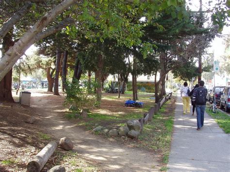 Historic American Landscapes Survey: People's Park, Berkeley