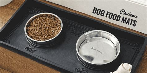 5 Best Dog Food Mats For Messy Eaters — Full 2018 Update