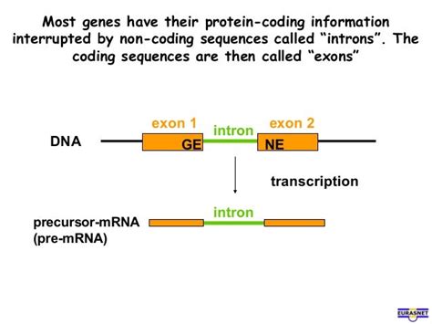 Rna splicing