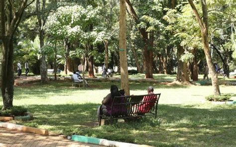 How Muliro Gardens changed from a sex den to family park - The Standard