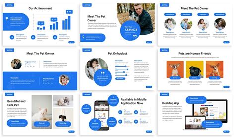 Anima - Animal Care Google Slides Template - Design Template Place