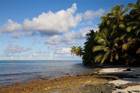 Chagos Archipelago - what’s happening to the most remote coral reefs on Earth?