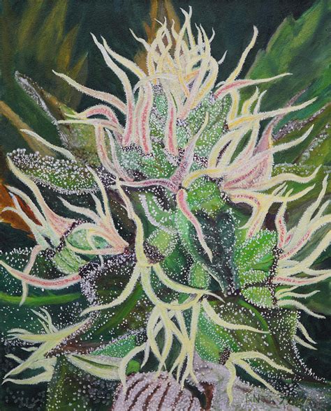 Cannabis Painting at PaintingValley.com | Explore collection of ...