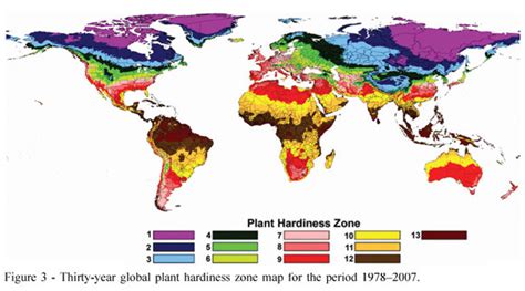 The Ethnobotanical Gardens Encyclopedia - The Ethnobotanical Garden - Shroomery Message Board