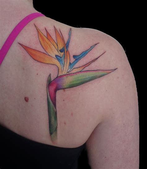 bird of paradise flower tattoo | Botanical tattoo, Bird of paradise ...