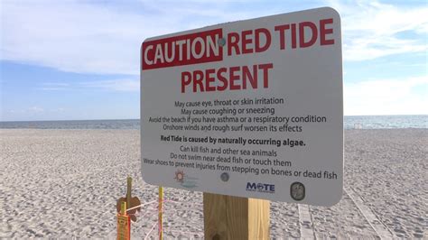 Amid red tide, 8 ways to reduce your personal nutrient pollution | wtsp.com