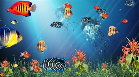 Wonderful Tropical Fish In The Ocean Aquarium 3D Screensaver