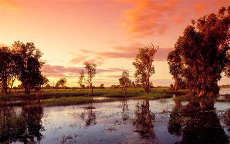 How 'Crocodile Dundee' Changed Tourism in Australia