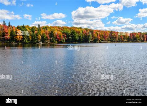 Parker Dam State Park Stock Photo - Alamy