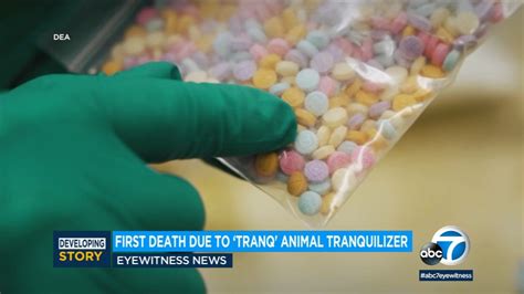 Tranq: First Bay Area death reported from powerful street drug that can cause horrific skin ...