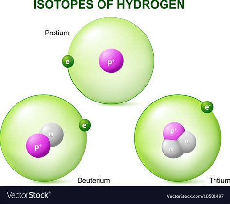 Isotopes of hydrogen Royalty Free Vector Image