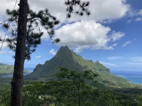 10 Best Trails and Hikes in Moorea | AllTrails