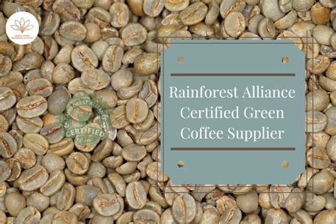 Rainforest Alliance Certified Green Coffee Supplier - Helena Green Coffee beans - Helena Coffee ...