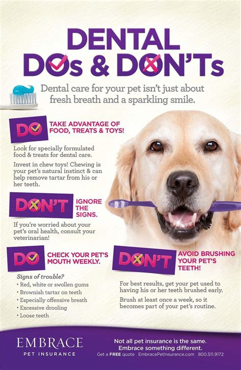 Dental do’s and dont’s | Dog health tips, Pet hacks, Pet dental care