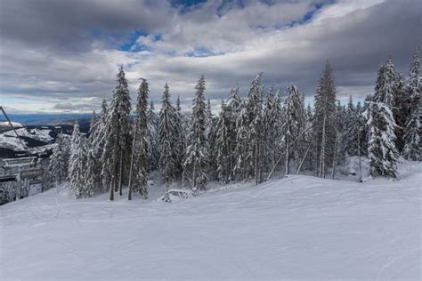 Amazing Winter Landscape of Rhodope Mountains Near Pamporovo Resort, Bulgaria Stock Photo ...