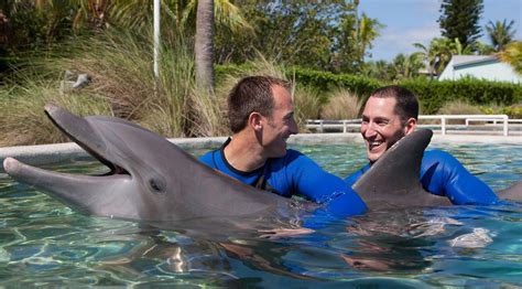 Dolphin Odyssey at Miami Seaquarium in Miami: Book Tours & Activities ...