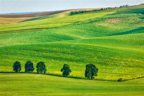 Rolling landscape of South Moravia with trees. Stock Photo by ...