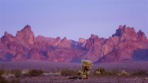 Kofa National Wildlife Refuge, Arizona - Anne McKinnell Photography