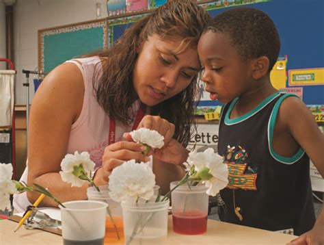 News and Events - UChicago STEM Education