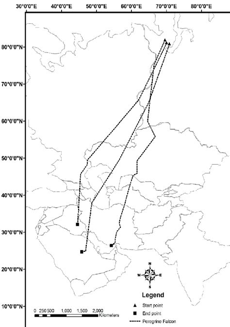 Migration routes of Peregrine Falcon (Dixon et al. 2012). | Download Scientific Diagram