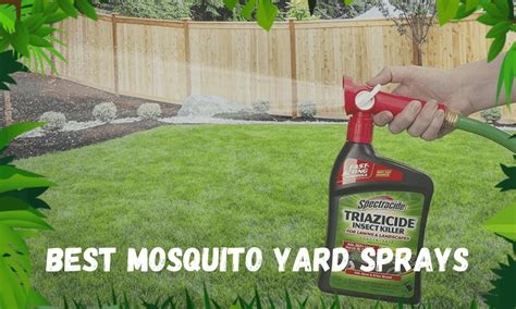 10 Best Mosquito Yard Sprays Worth Buying in 2020