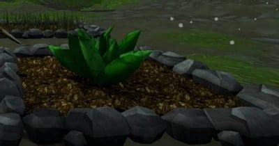 RuneScape 3 Gold Farming with Low-Effort Herb for Beginners