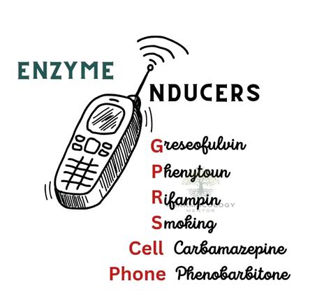 Enzyme inducers | Pharmacology Mentor