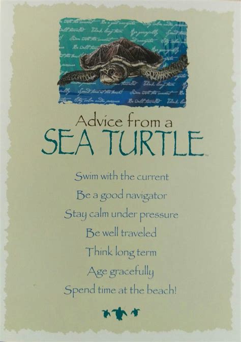 Advice from a Sea Turtle ... Please donate @ www.yourtruenature.com ...