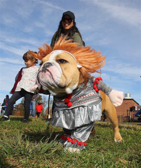 Barkfest Halloween dog costume contest