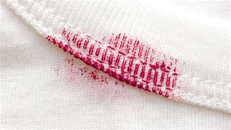 The Ultimate Stain Removal Guide for Clothes and Fabrics — Pro Housekeepers