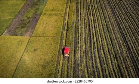 4,822 Rice Field In Combine Harvester Images, Stock Photos & Vectors ...